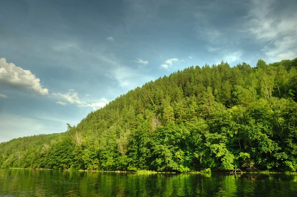 Festői erdő és a folyó — Stock Fotó