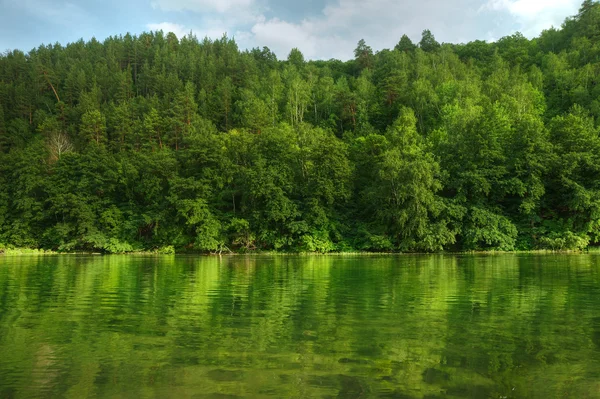 Malowniczy las i rzeka — Zdjęcie stockowe
