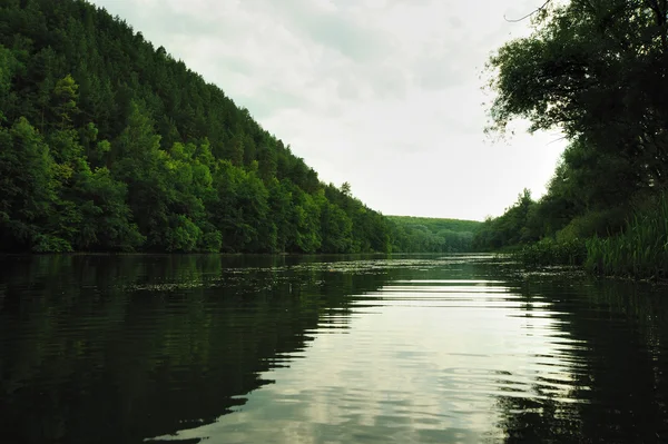 Picturesque forest and the river — Stock Photo, Image
