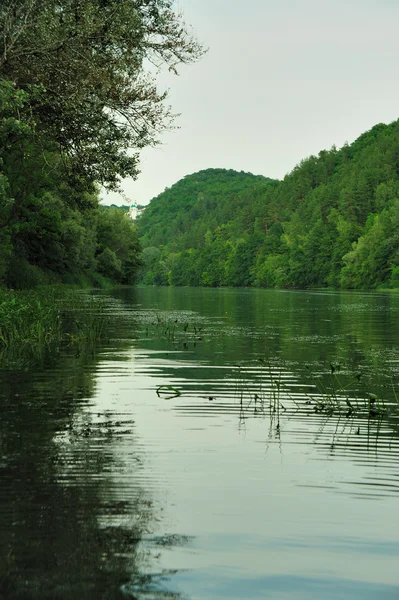 风景如画的森林和河流 — 图库照片