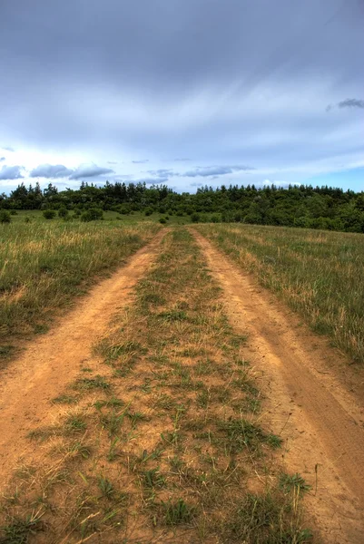 Weg zu einem Feld — Stockfoto