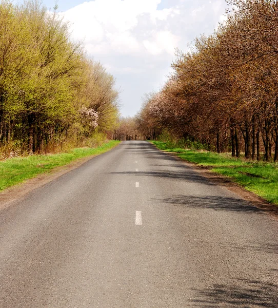 Motorväg — Stockfoto