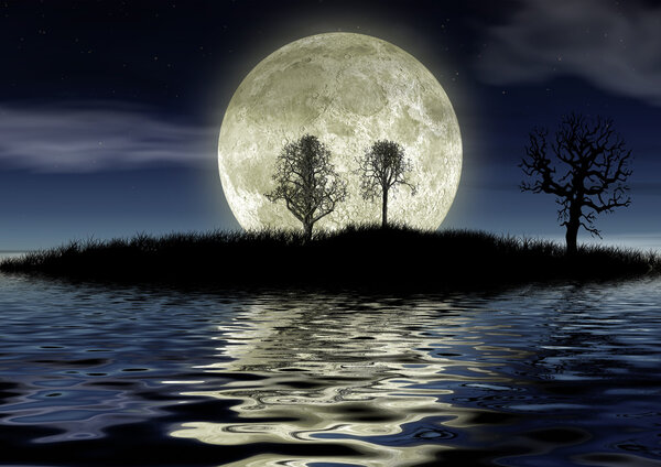 Romantic night. Island with dense vegetation, trees and the fantastic moon.