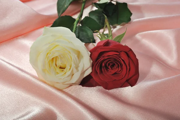 Dvě růže na krém satén — Stock fotografie