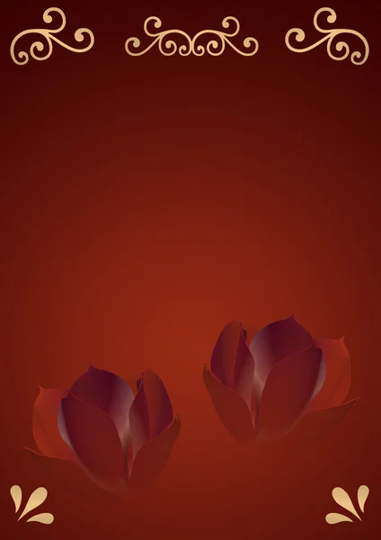 Rosen zwei Hintergrund — Stockfoto