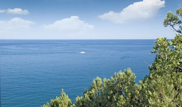 Stock image Seascape and yachts