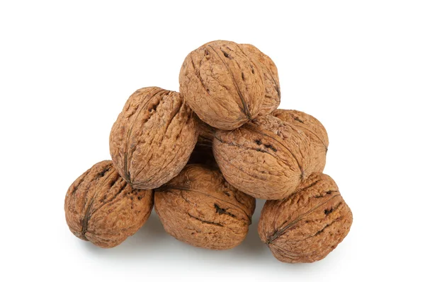Heap walnut — Stock Photo, Image