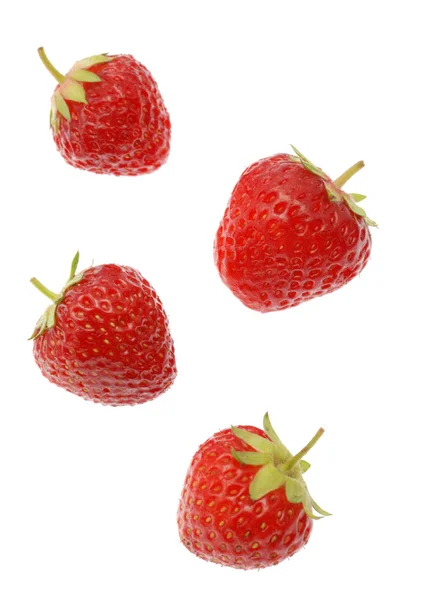 集草莓 — 图库照片