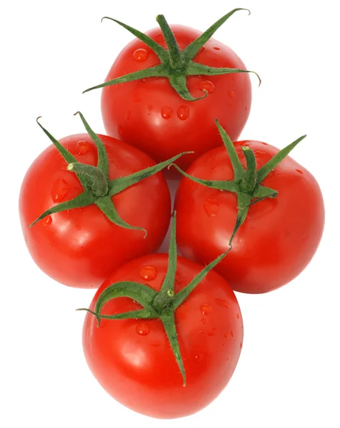 Встановити томатний — стокове фото