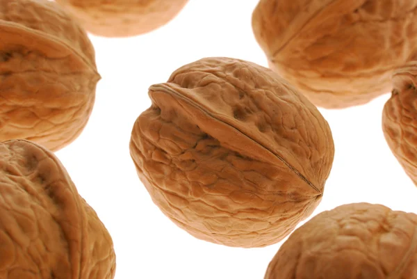 Set walnut — Stock Photo, Image