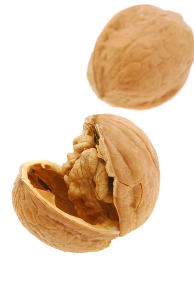 Shattered walnut — Stock Photo, Image
