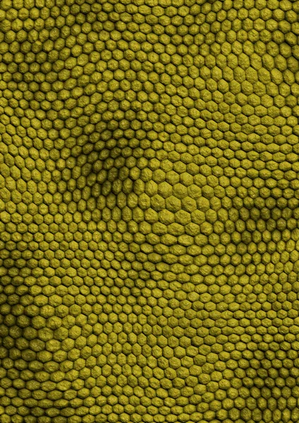Snakes texture green — Stock Photo, Image