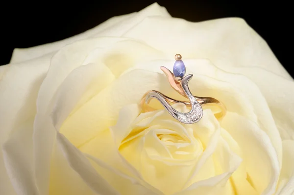 Σπινθηρίζον δαχτυλίδι σε ένα λευκό τριαντάφυλλο — Φωτογραφία Αρχείου