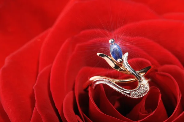 Σπινθηρίζον δαχτυλίδι σε ένα κόκκινο τριαντάφυλλο — Φωτογραφία Αρχείου