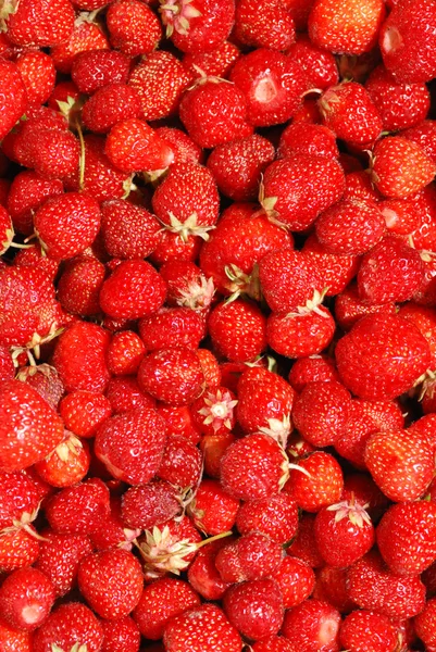 stock image Strawberry background