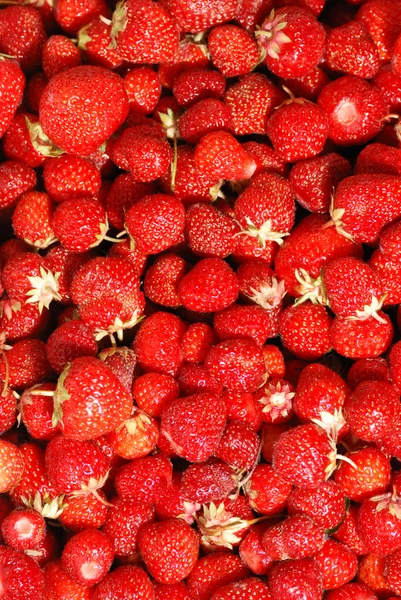 Stock image Strawberry background