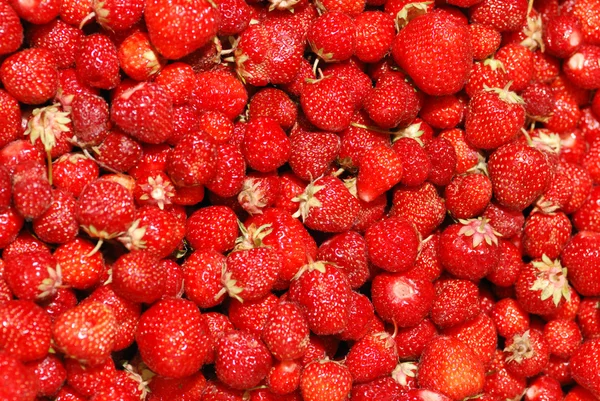 stock image Strawberry background