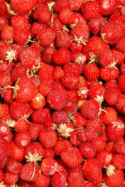 stock image Strawberry background