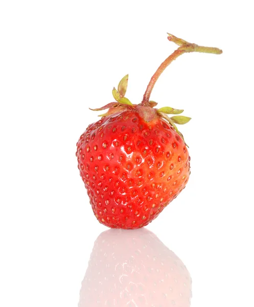 イチゴの反射 — ストック写真