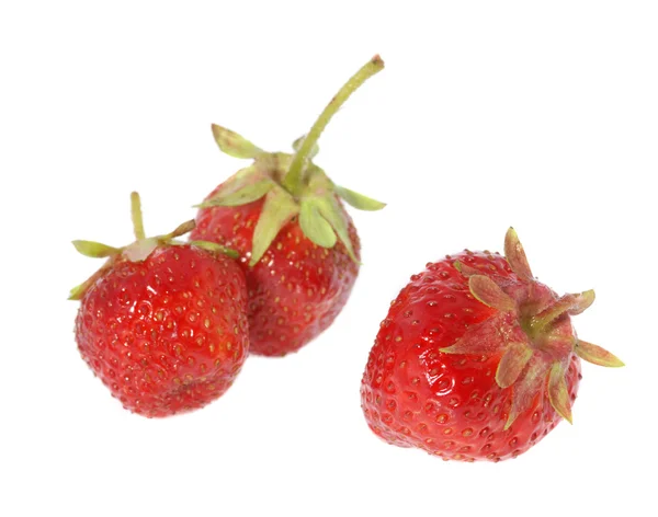 Erdbeere drei — Stockfoto