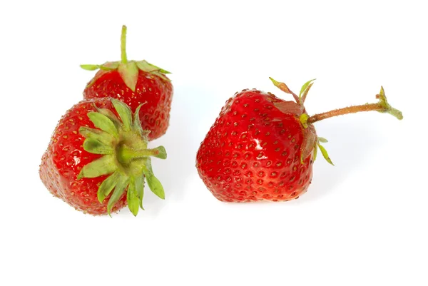 草莓三 — 图库照片