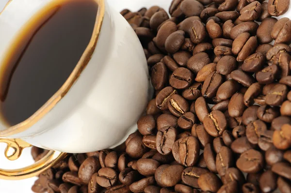 Stijlvolle koffiekopje met zaad — Stockfoto