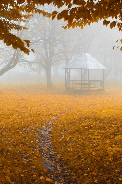 Yazlık evinde sisli orman — Stok fotoğraf