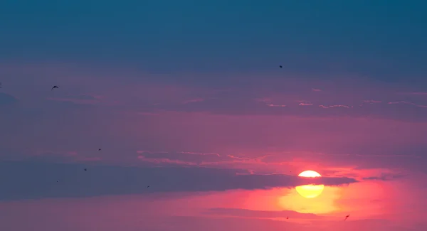 Pittoresco tramonto — Foto Stock