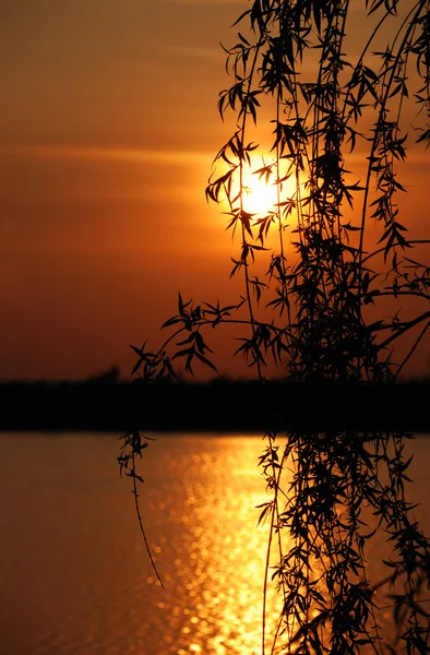 stock image Sunset and spray