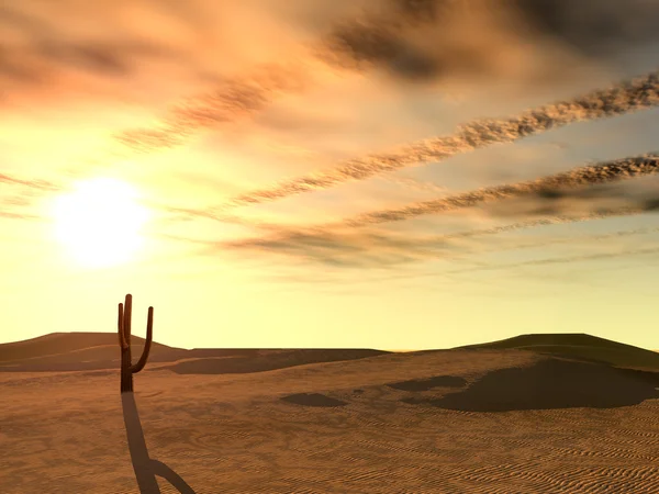 Puesta de sol en el desierto —  Fotos de Stock