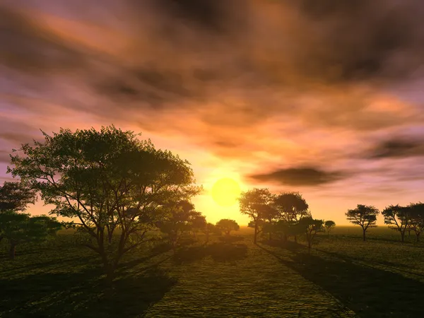 Západ slunce stromy — Stock fotografie