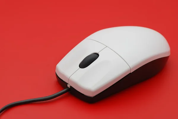 The computer mouse — Stock Photo, Image