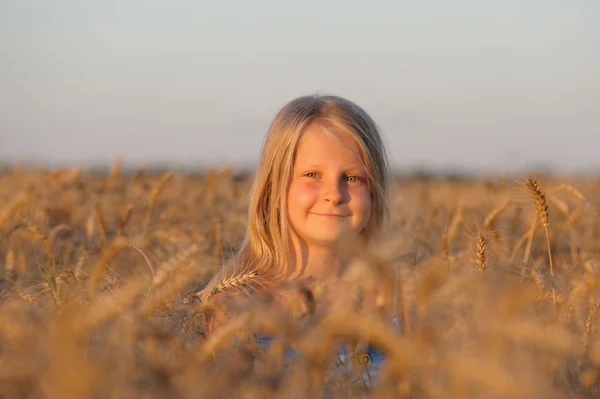 Дівчина в пшениці . — стокове фото