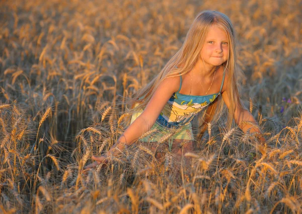 提起小麦中的女孩. — 图库照片