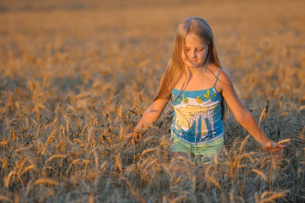 The girl in filed wheats. — Stock Photo, Image