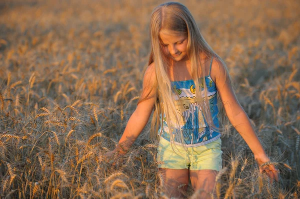 提起小麦中的女孩. — 图库照片