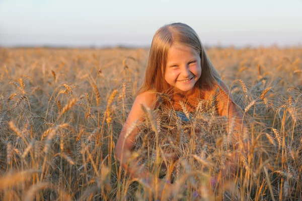 Das Mädchen im Korn. — Stockfoto