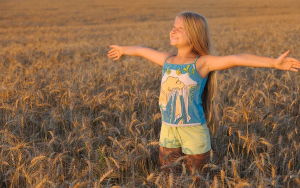 A lány iktatott wheats. — Stock Fotó