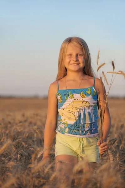 Девушка в пшенице . — стоковое фото