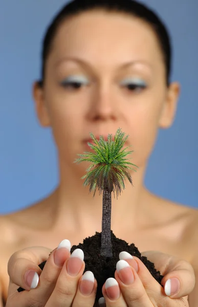 Die Frau hält Erde mit einer Palme in den Händen — Stockfoto