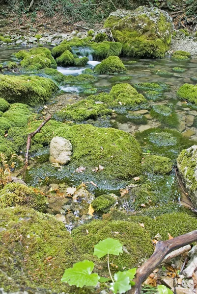 El río de madera — Foto de Stock