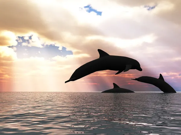 3 개의 돌고래와 환상적인 하늘 — 스톡 사진