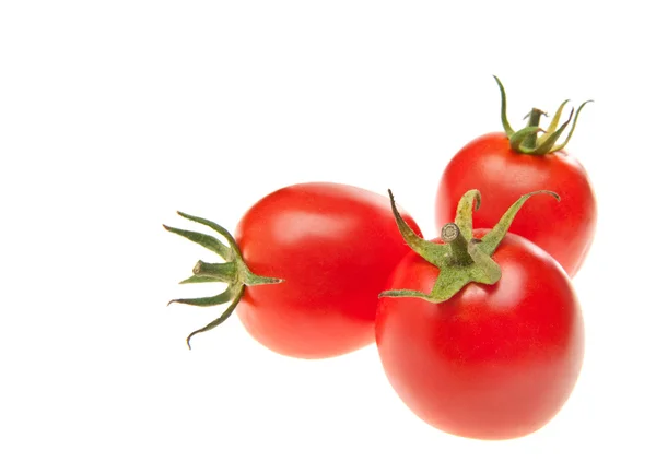 Tomaten in Reihe — Stockfoto