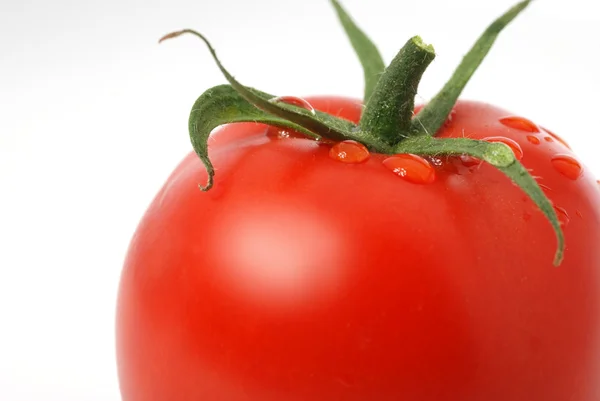 Tomaten-Makrofoto — Stockfoto