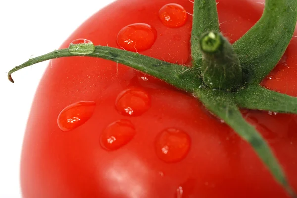 Tomat makro Foto — Stockfoto