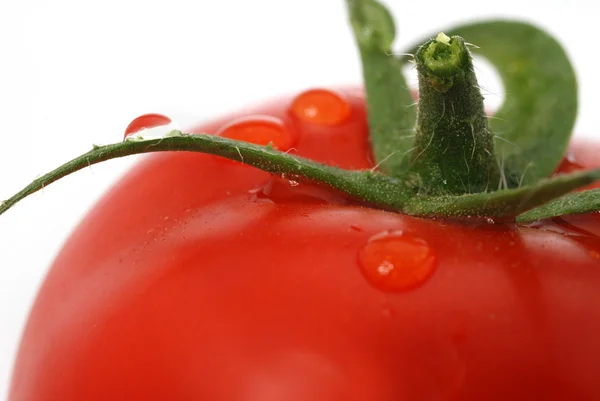Tomato macro photo — Stock Photo, Image