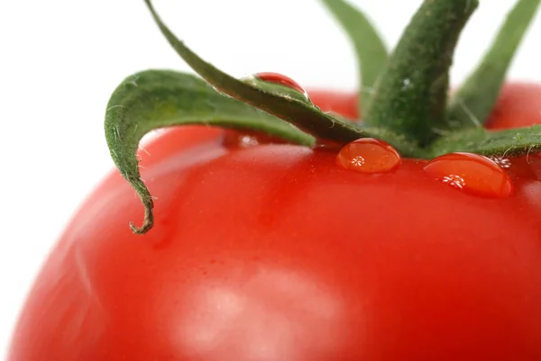 Tomato macro photo — Stock Photo, Image
