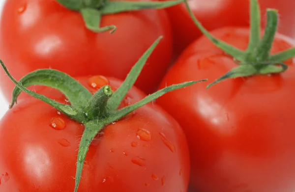 Tomato set — Stock Photo, Image