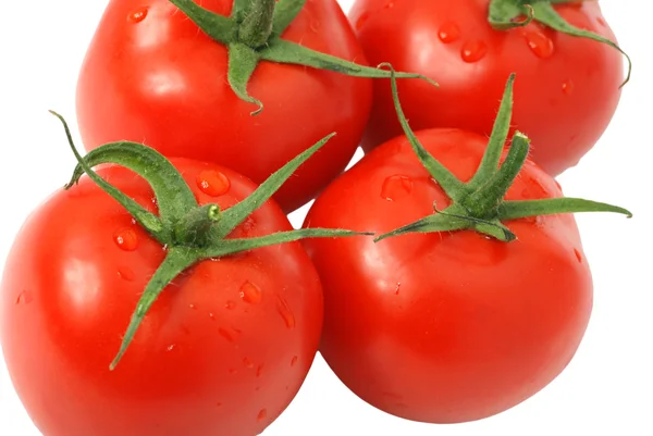 Conjunto de tomate — Fotografia de Stock