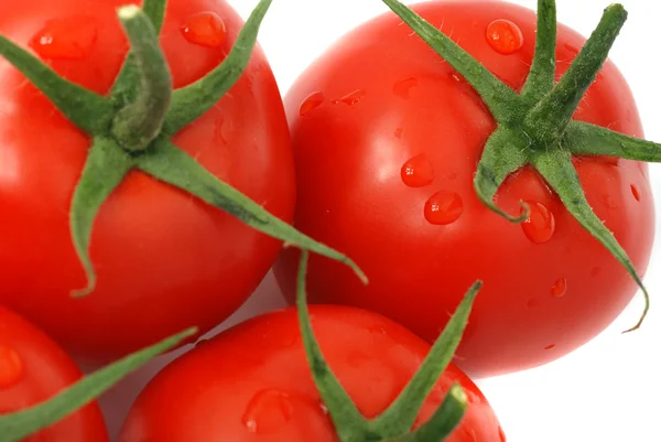 Set de tomate — Foto de Stock
